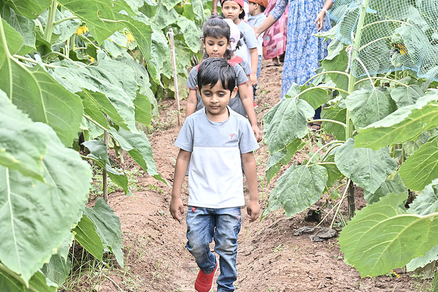 Thumbnail image - Yuvabharathi Nursery