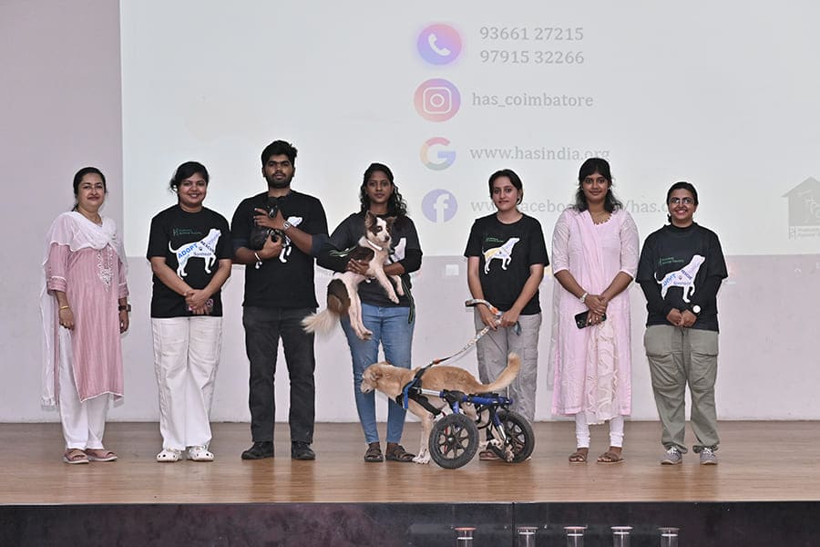 Thumbnail image - Yuvabharathi Nursery