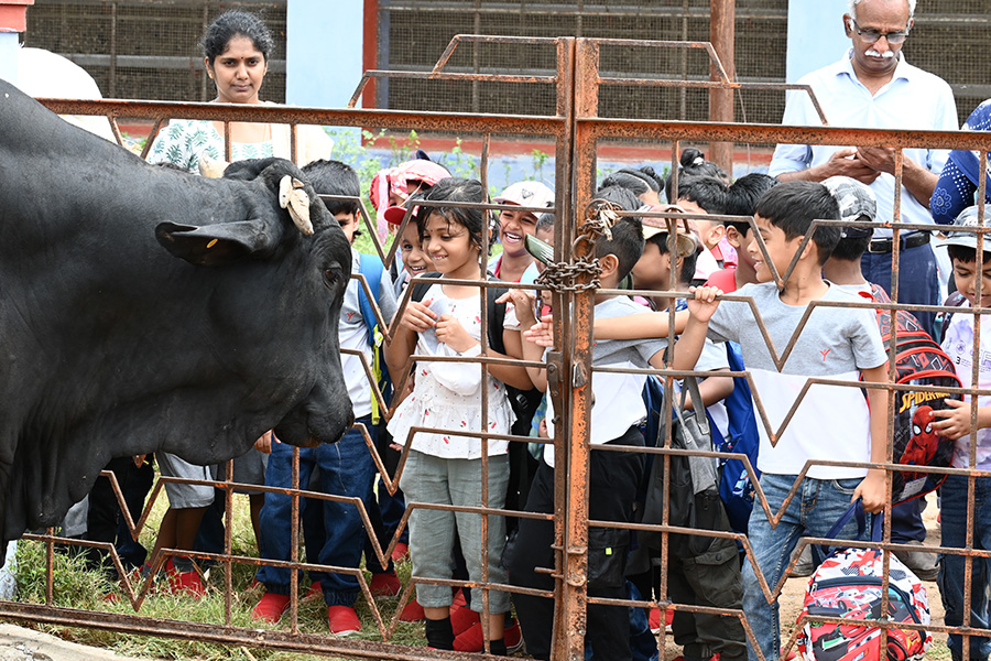 Thumbnail image - Yuvabharathi Nursery