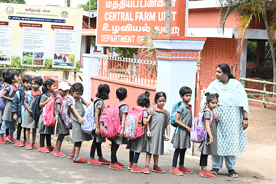 Observation of Animal Life